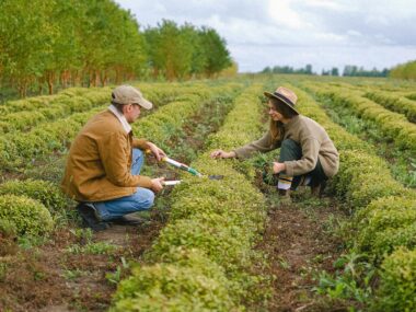 Farm Jobs in USA for Foreigners with Visa